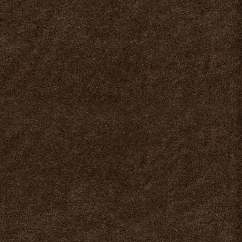 Windfall Upholstery Fabric