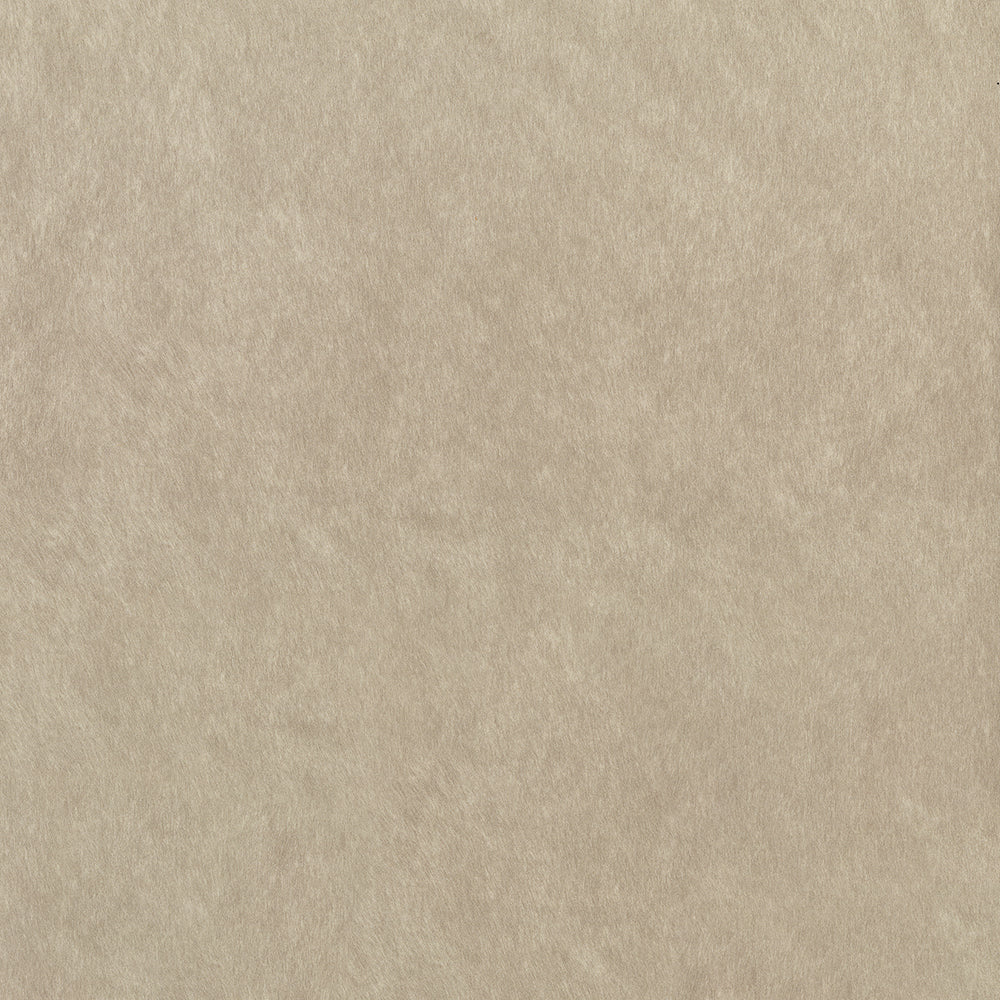 Windfall Upholstery Fabric